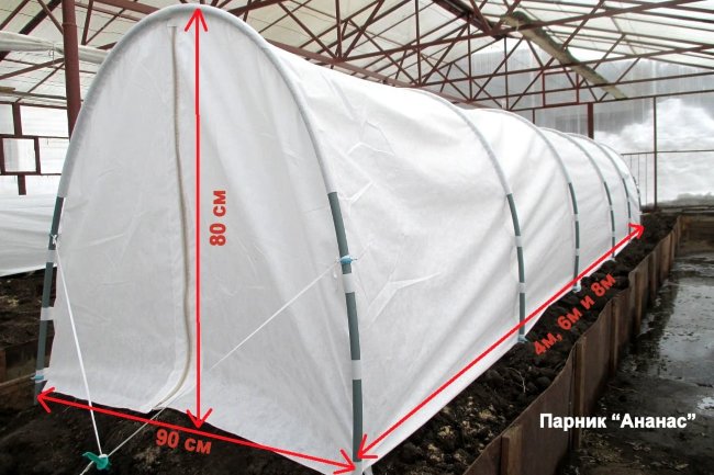 Парник Ананас на молнии 6х0,9х0,8 м Парник Ананас на молнии 6х0,9х0,8 м
